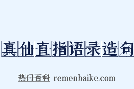 真仙直指语录造句是什么意思的图片